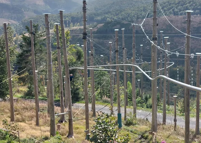 Апартаменты Aktive Auszeit -ski, Bike, Hike And Relax *